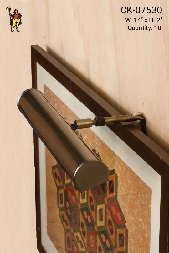 Adjustable 14" Brass Picture Light