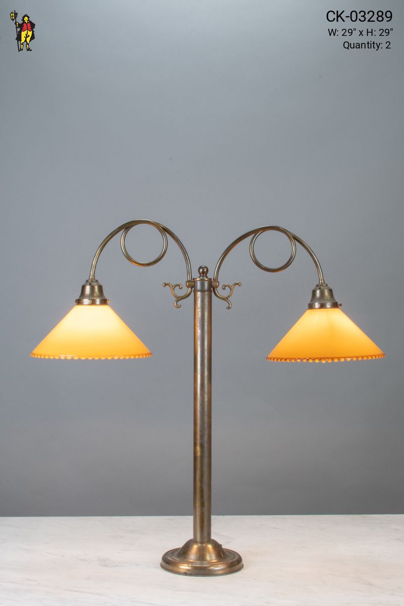 Two Light Curved Arm Table Lamp w/Glass Shades | Table Lamps