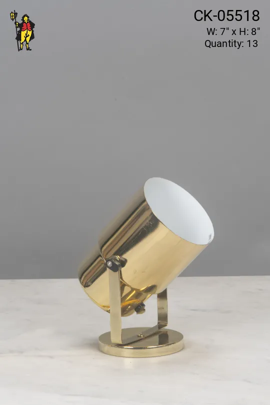 Polished Brass Can Light