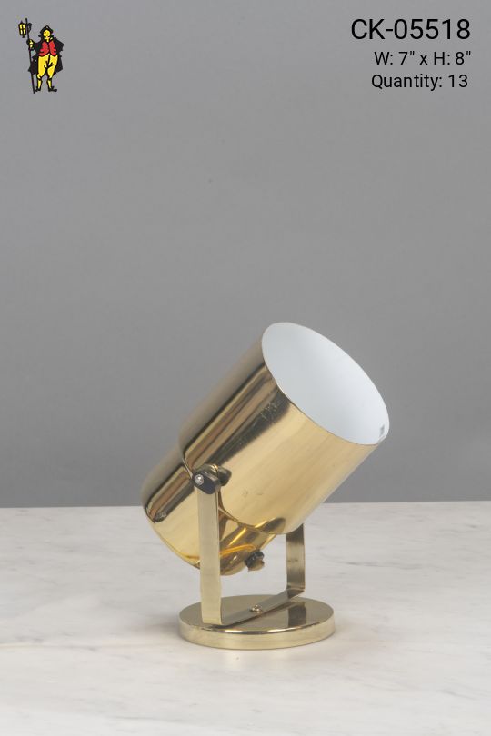 Polished Brass Can Light