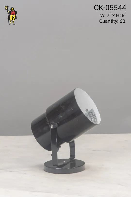 Polished Black Can Light