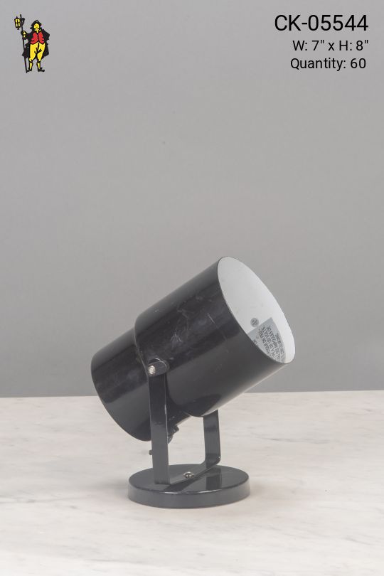 Polished Black Can Light