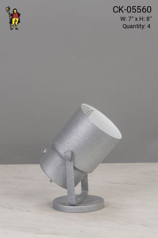 Matte Silver Can Light
