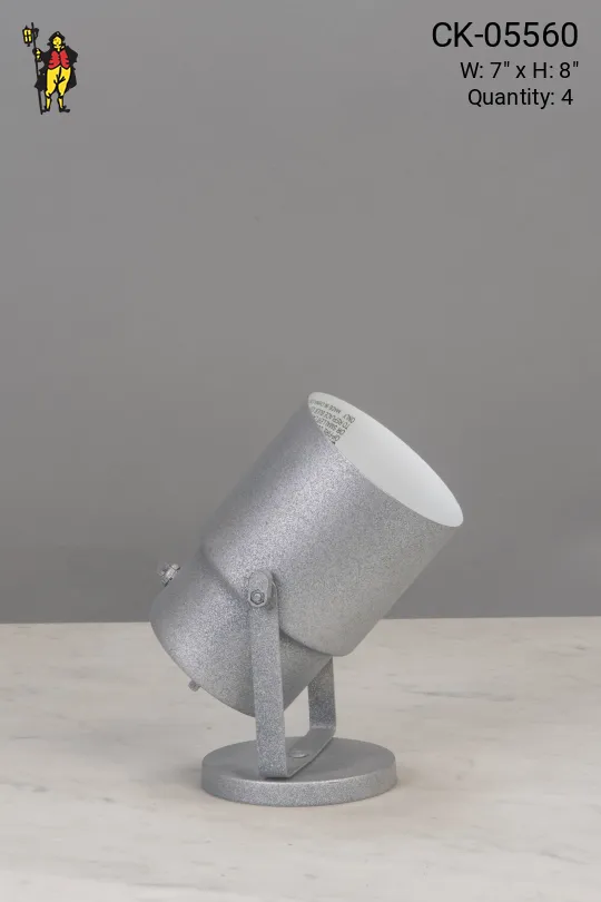 Matte Silver Can Light