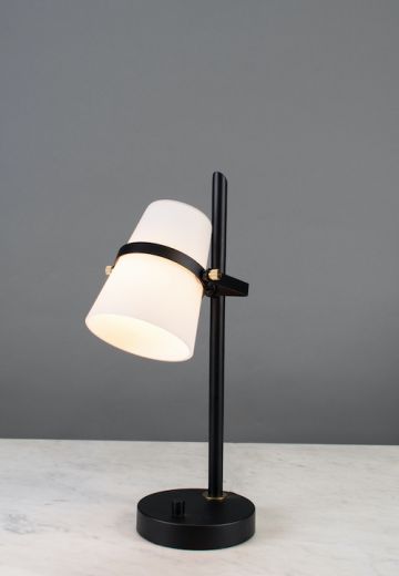 Spotlight Table Lamp w/Frosted Glass Shade