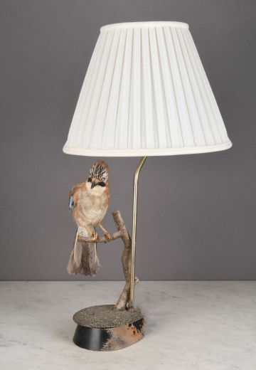 Taxidermy Bird Table Lamp