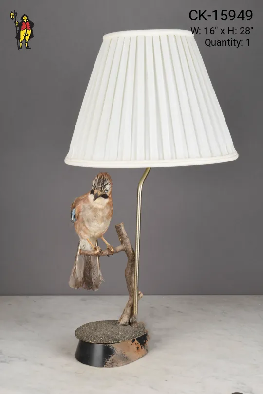 Taxidermy Bird Table Lamp