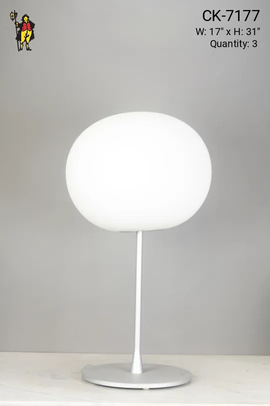 Contemporary Table Lamp w/Globe Shade