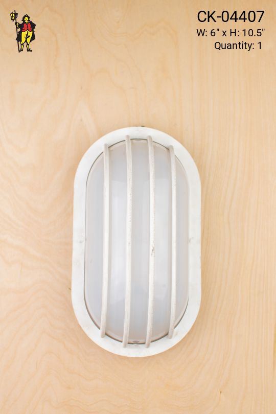 White Plastic Cage Sconce (Distressed)
