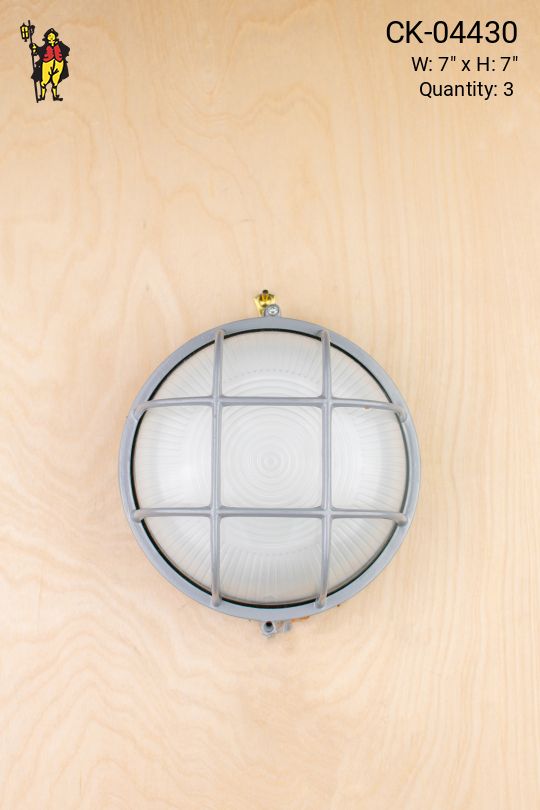 Seven Inch Silver Circular Cage Light