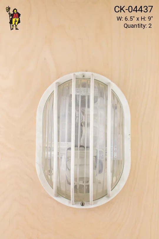 White Plastic Cage Light