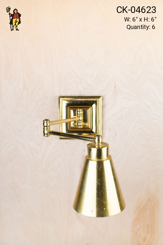 Adjustable Spotlight Wall Scone
