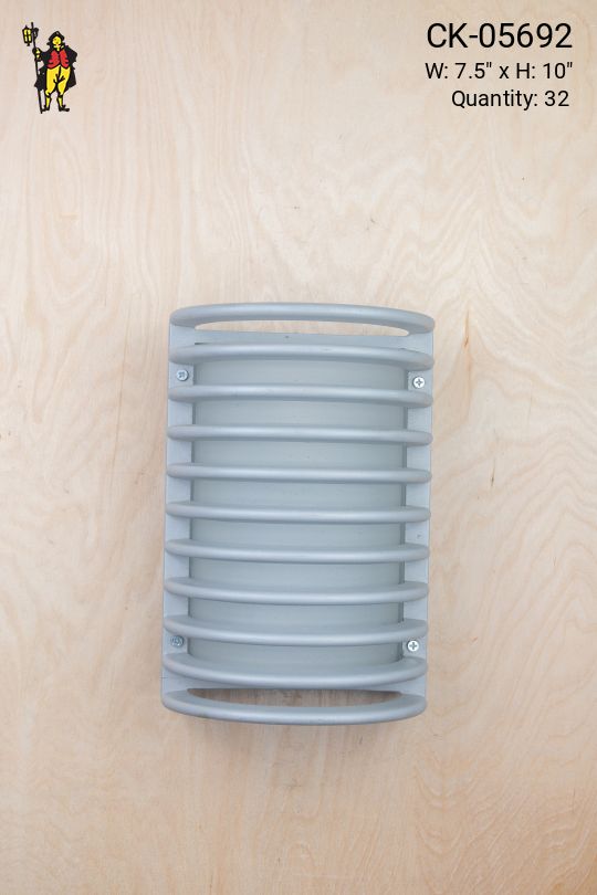 Metal Cage Light w/Frosted Glass Shade