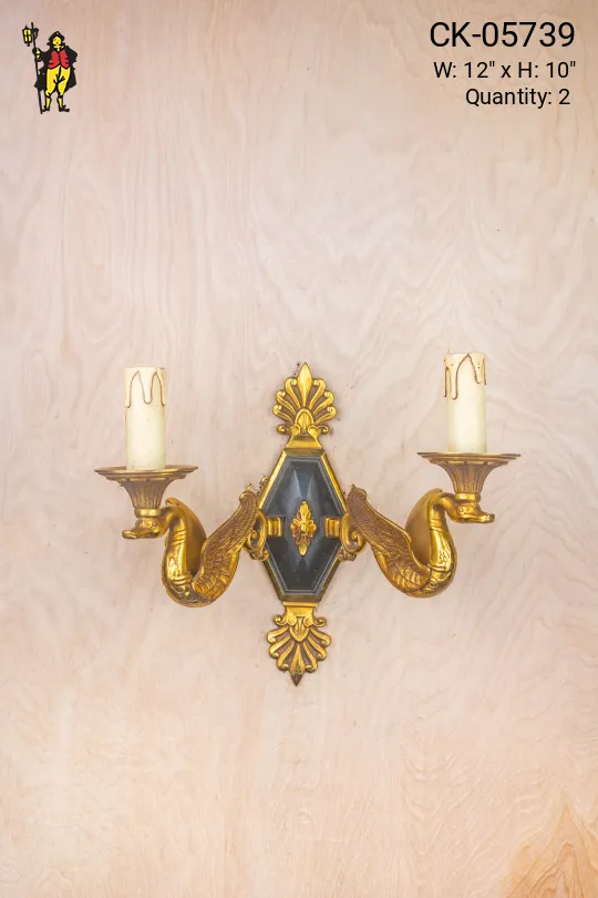 Two Bird Black & Brass Wall Sconce