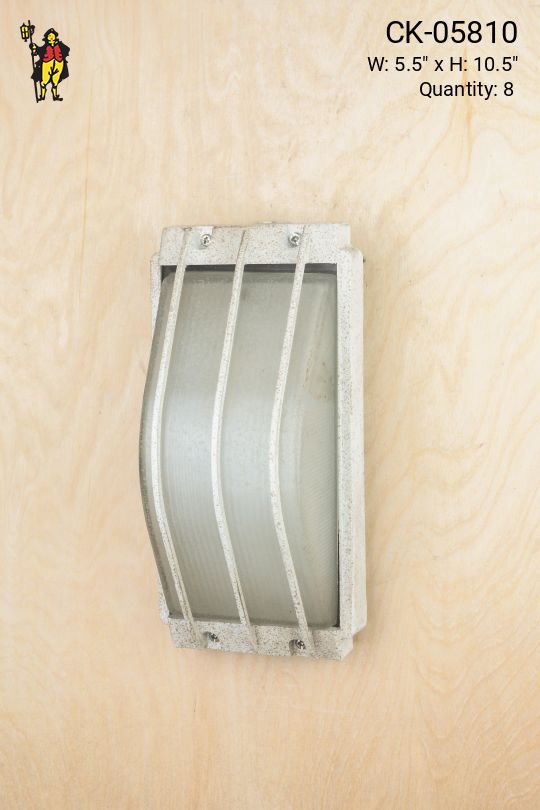 Emergency Cage Light