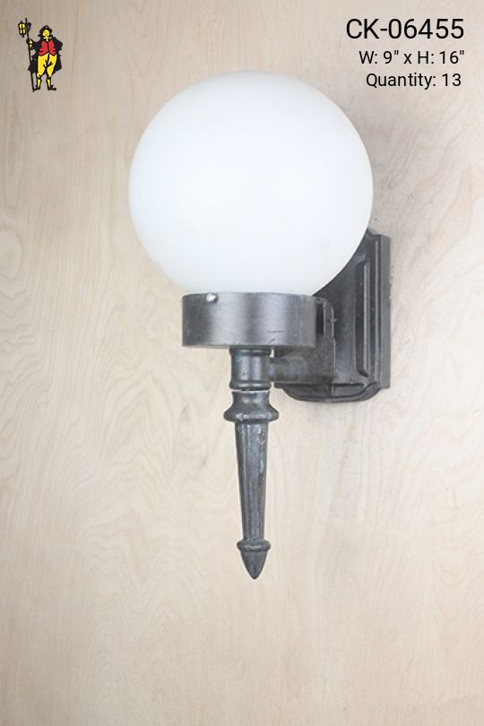 Black Single Light Globe Wall Sconce