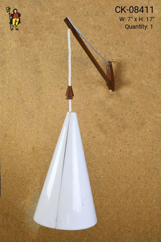 Plastic Pendant Shade Wall Sconce