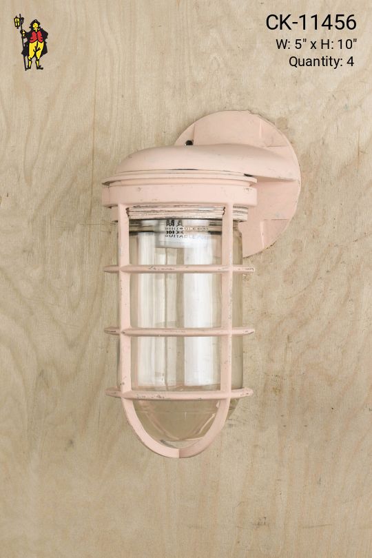 Painted Pink Wall Mounted Vapor Light