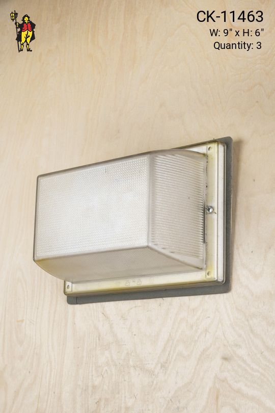 Industrial Wall Light