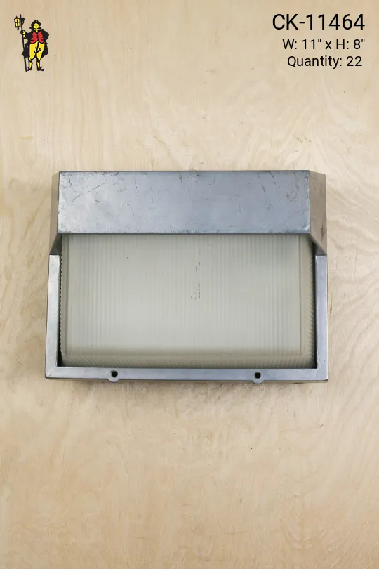 Metal & Glass Outdoor Wall Light