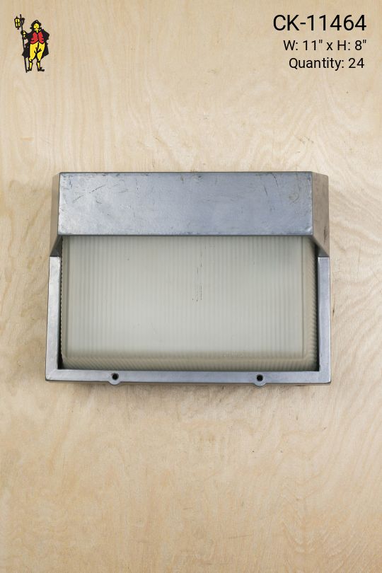 Metal & Glass Outdoor Wall Light