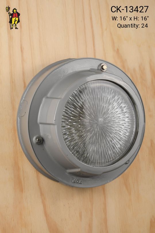 Industrial Explosion Proof Wall/Ceiling Fixture
