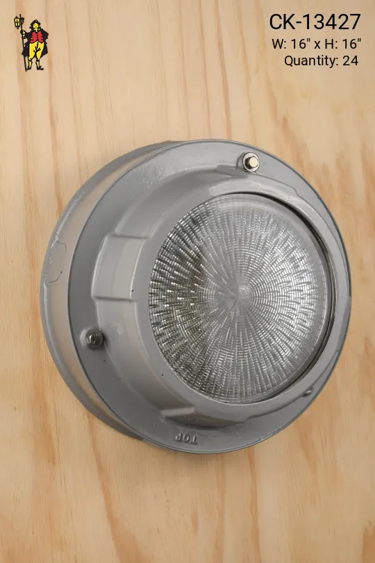 Industrial Explosion Proof Wall/Ceiling Fixture