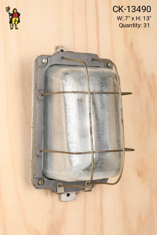 Industrial Caged Wall Light
