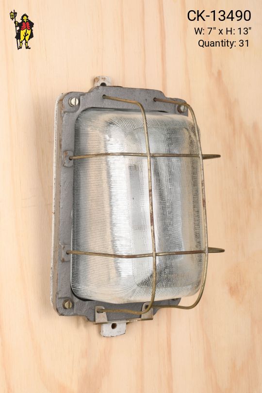 Industrial Caged Wall Light