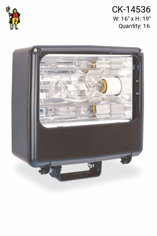 Wall Mounted Industrial Flood Light (Heavy)
