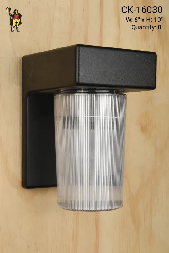 Black & Plastic Industrial/Exterior Down Light Wall Sconce