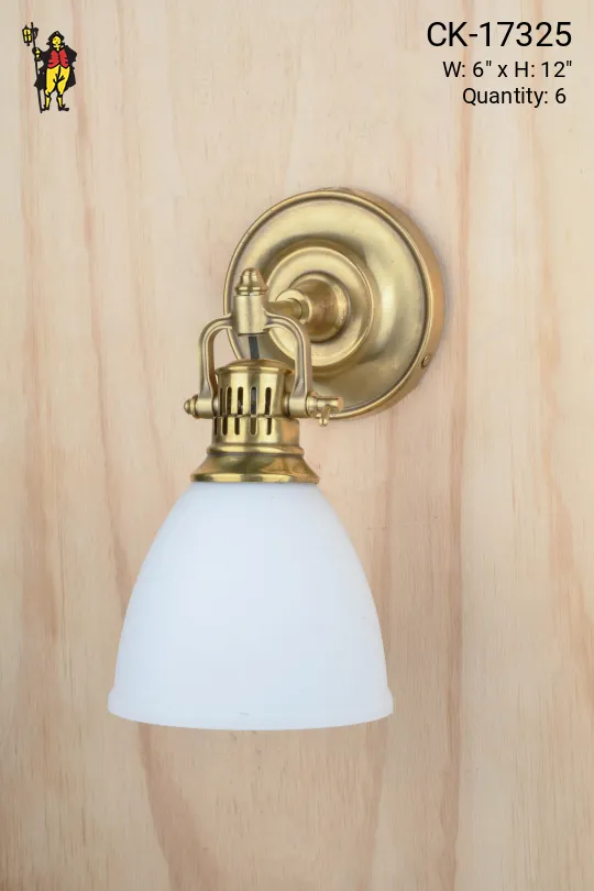 Glass Shaded Brass Adjustable Directional Down Light