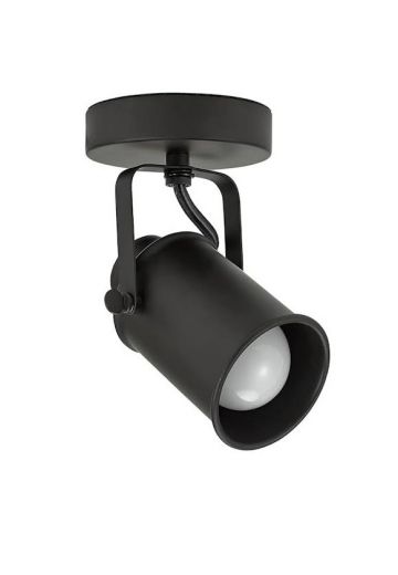Dark Bronze Ceiling/Wall Mounted Adjustable Spot/Museum Light