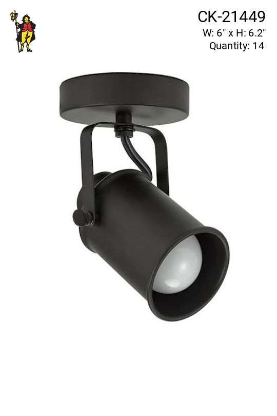 Dark Bronze Ceiling/Wall Mounted Adjustable Spot/Museum Light