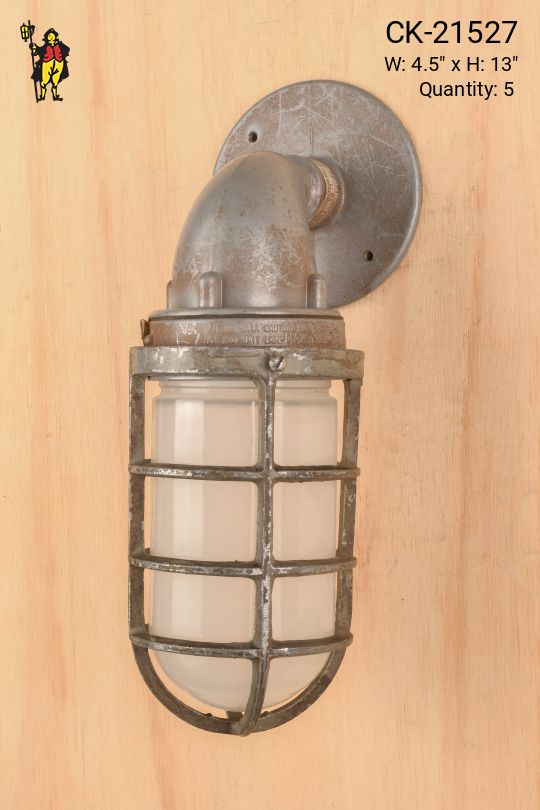 Distressed Metal Cage Wall Light w/Frosted Glass
