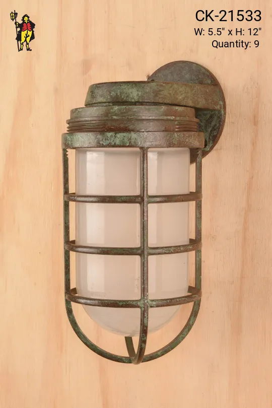Distressed Metal Cage Wall Light w/Frosted Glass