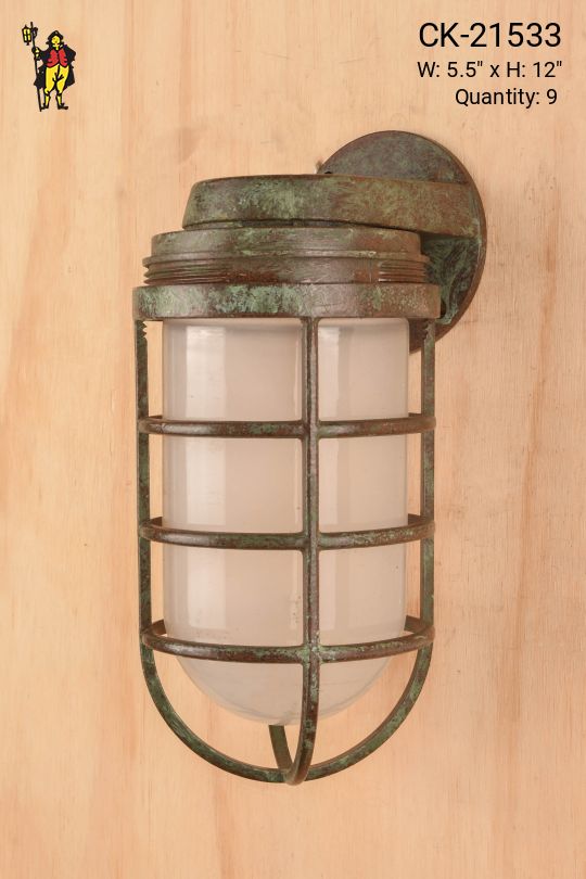 Distressed Metal Cage Wall Light w/Frosted Glass
