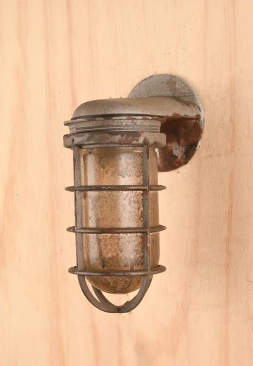 Wall Mounted Vapor Proof Caged Light