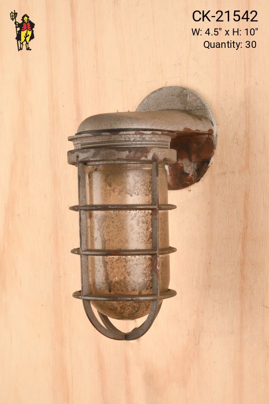 Wall Mounted Vapor Proof Caged Light