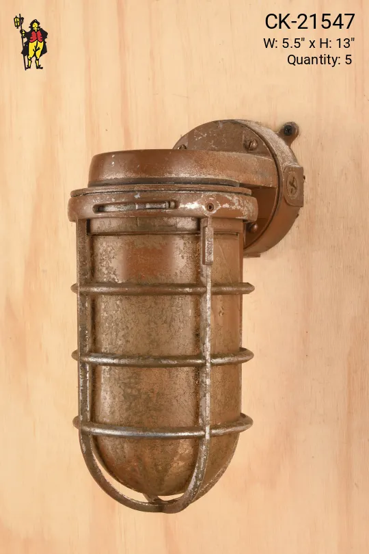 Distressed Oversized Vapor Proof Caged Wall Light