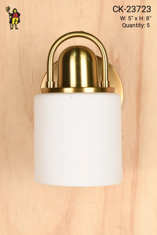 Glass Shaded Down Light Wall Scocne