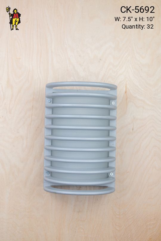 Metal Cage Light w/Frosted Glass Shade