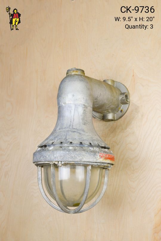 Industrial One Light Caged Wall Sconce